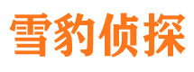 延川市侦探公司